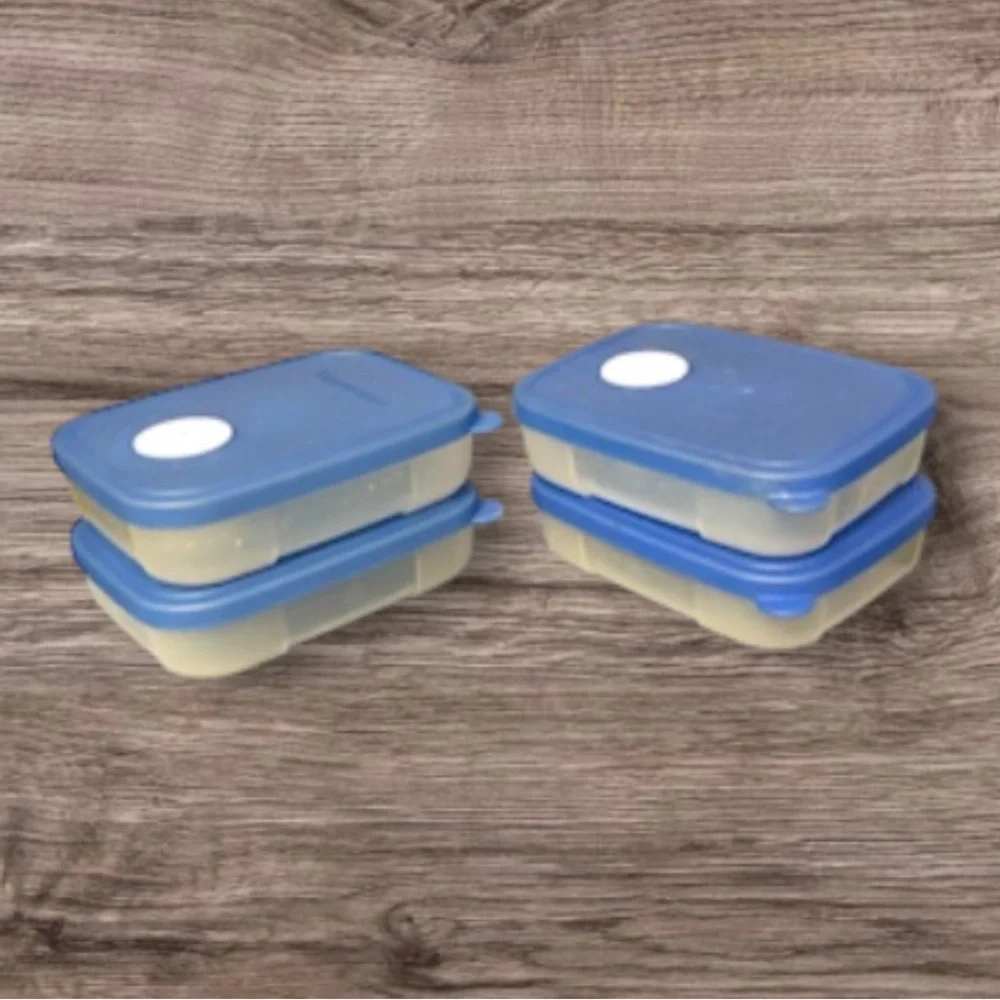 Blue Plastic Food Storage Containers with Lids - Set of 4